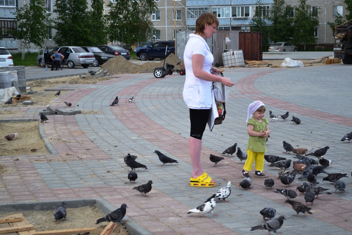 DSC_0426 (700x466, 284Kb)