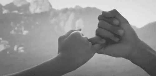 tumblr_m6nmu9nybd1r9h9b1o1_500 (500x246, 952Kb)