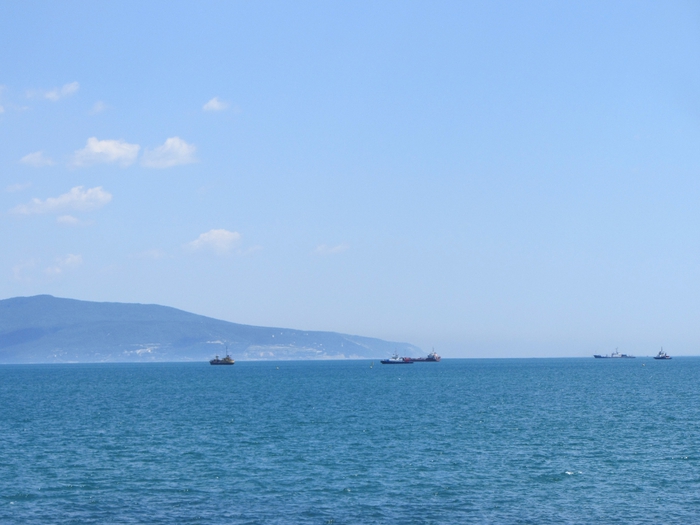 IMG_1449 (700x525, 200Kb)