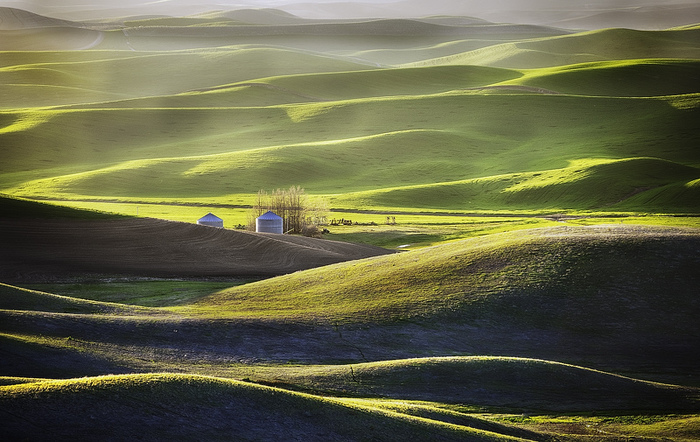 1372657102_Palouse3 (700x442, 188Kb)