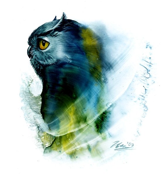 854536_002 (550x600, 51Kb)