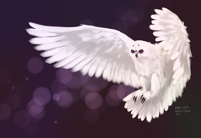 854536_0007_1_ (700x482, 30Kb)