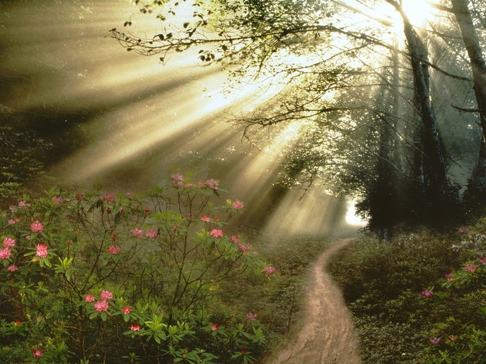 4741801_99026702_large_386801920x1440 (700x525, 339Kb)