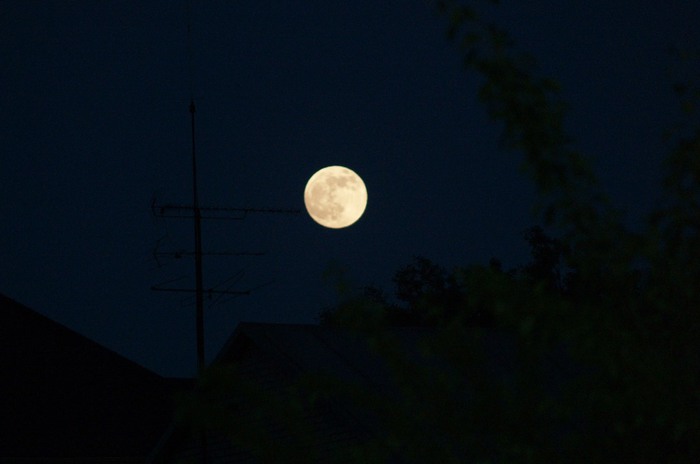 P5245050 (700x464, 28Kb)