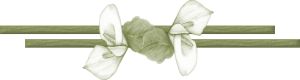 barre_gisele (300x80, 16Kb)