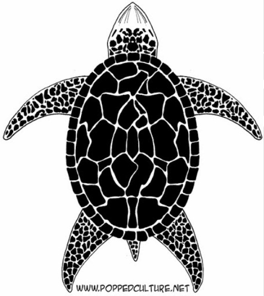 sketch_turtle (515x578, 117Kb)