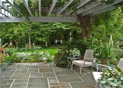 lush-patio-wisteria-landscapers_3800 (500x360, 249Kb)