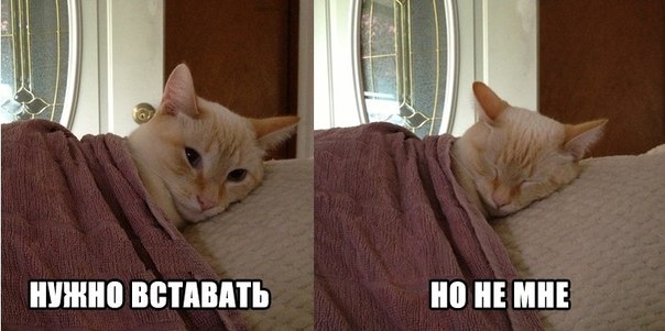 5HGRTH0YJac (604x301, 43Kb)