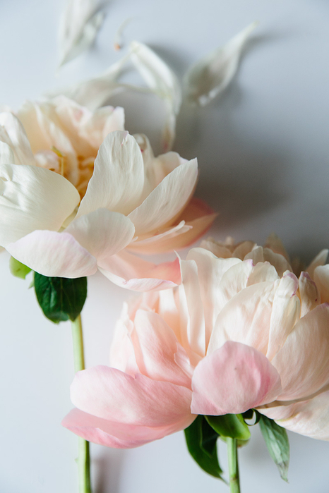 tumblr_mlkmikYXCM1r78kbwo1_1280 (466x700, 260Kb)