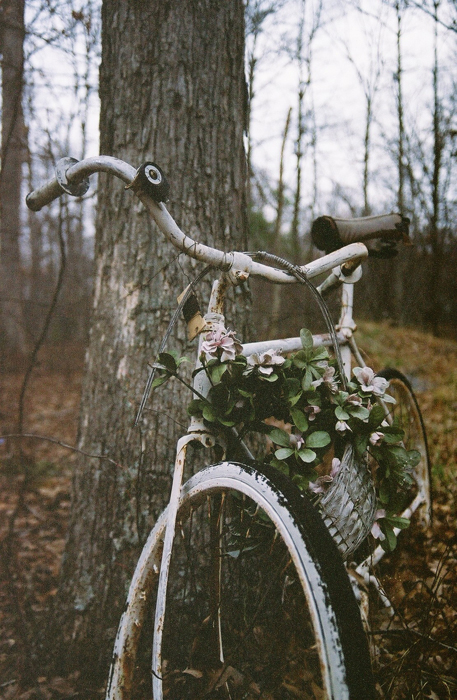 tumblr_mlmz29CPpf1ql3f9fo1_500 (457x700, 439Kb)