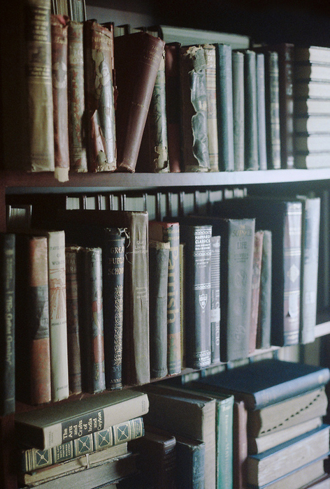 tumblr_mnq06hk2Z51s52ze7o1_500 (472x700, 459Kb)