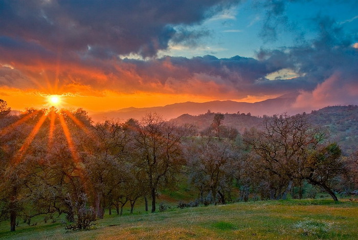 3623822_mg39 (700x469, 106Kb)