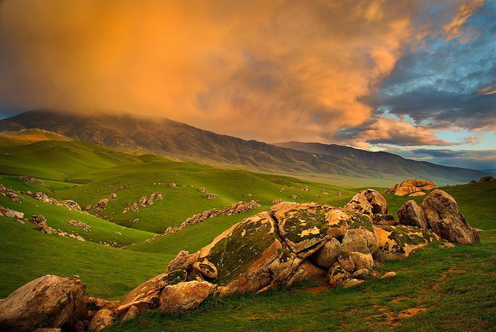 3623822_mg32 (700x469, 113Kb)
