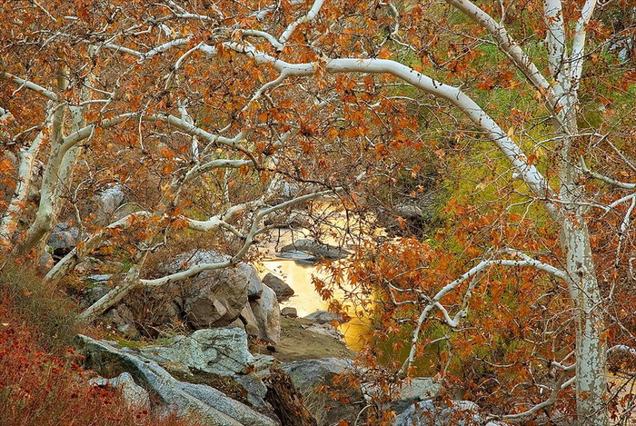 3623822_mg7 (700x469, 222Kb)