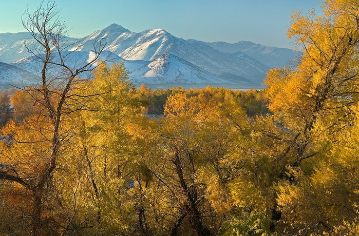 3623822_mg16 (700x460, 171Kb)