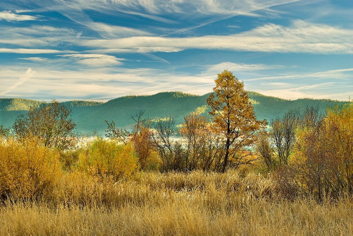 3623822_mg22 (700x469, 144Kb)