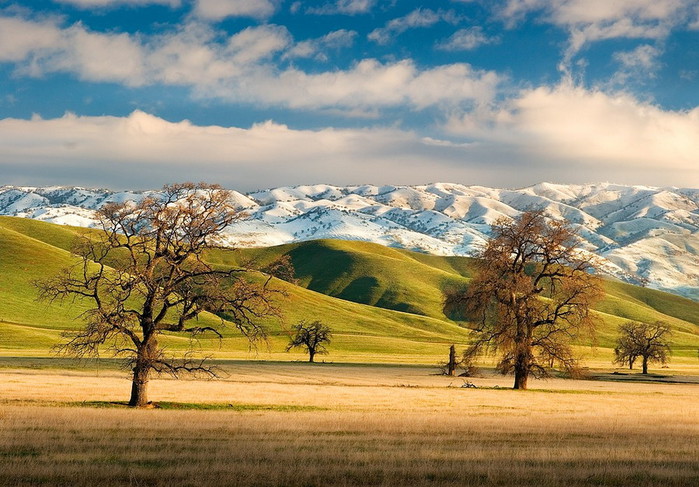 3623822_mg18 (700x487, 131Kb)