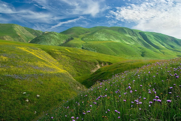 3623822_mg28 (700x469, 149Kb)