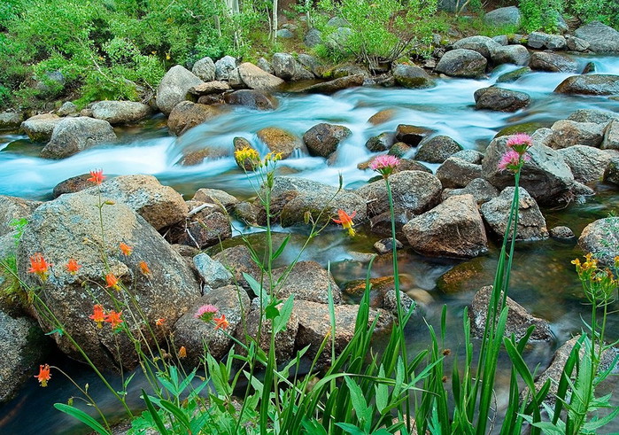 3623822_mg17 (700x491, 201Kb)