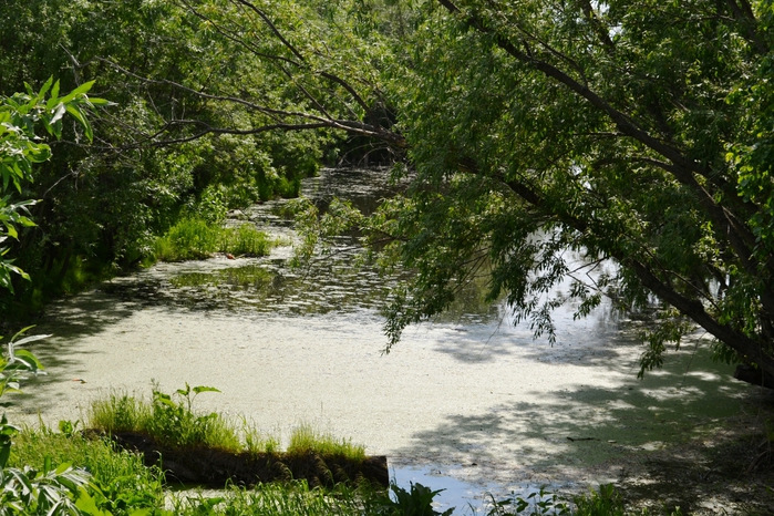 DSC_0477 (700x466, 341Kb)