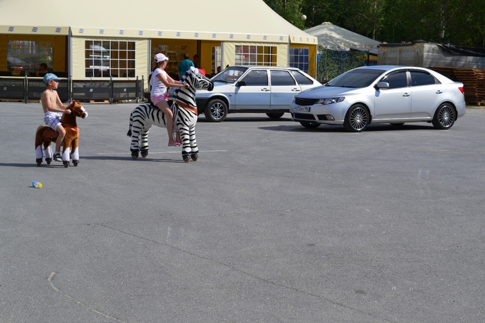 DSC_0482 (700x466, 250Kb)
