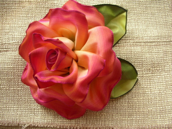 DSCN8973 (700x525, 332Kb)
