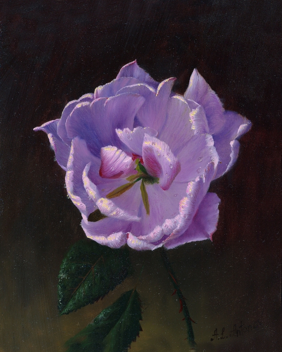 Purple_rose (560x700, 286Kb)