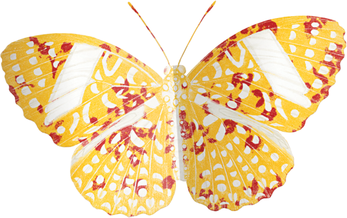 khartley_butterfly1 (700x440, 417Kb)