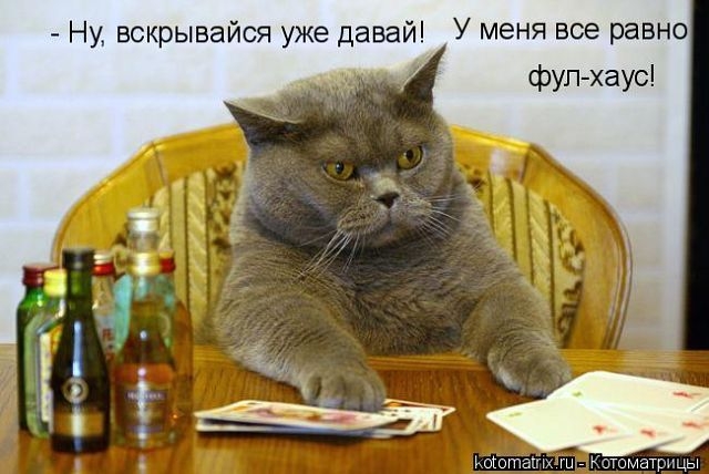 vze115 (640x428, 147Kb)