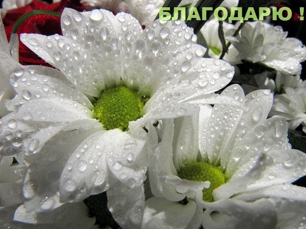 750ce21e522e (600x450, 90Kb)