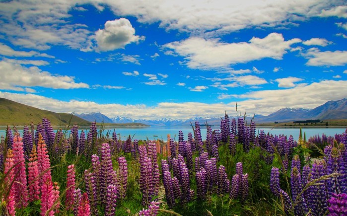 Tekapo08 (700x435, 113Kb)