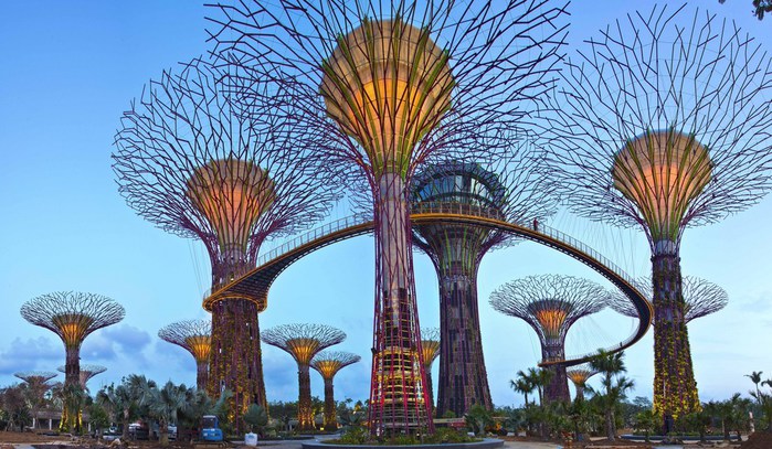 gardens-by-the-bay-supertree-001 (700x407, 123Kb)