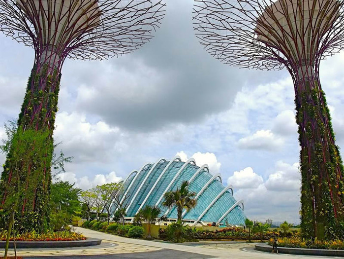 gardens-by-the-bay-supertree-007 (700x525, 160Kb)