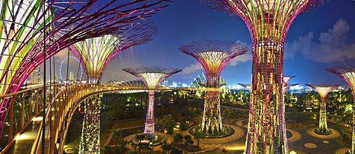 gardens-by-the-bay-supertree-015 (700x303, 105Kb)