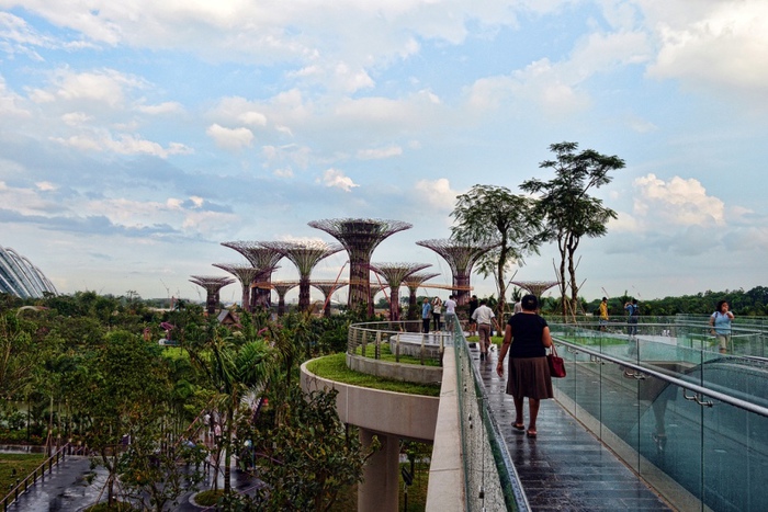 gardens-by-the-bay-supertree-013 (700x467, 154Kb)
