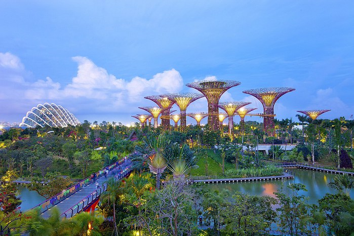 gardens-by-the-bay-supertree-018 (700x466, 115Kb)