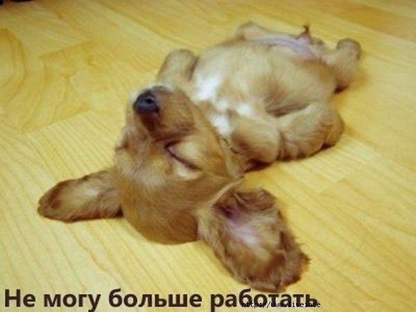  -  ))))))))) (600x450, 47Kb)