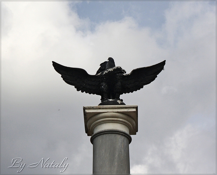 4954089_IMG_4459_hf (700x564, 205Kb)
