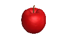 shanayel[1] (121x88, 17Kb)