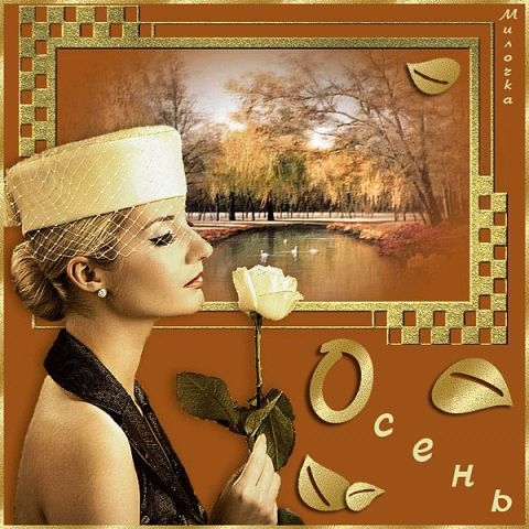 4 (480x480, 159Kb)