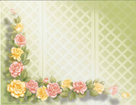  a71_pink_and_yellow_rose (700x540, 301Kb)