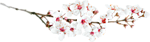 0_7a284_291c3e94_S.jpg (150x42, 13Kb)