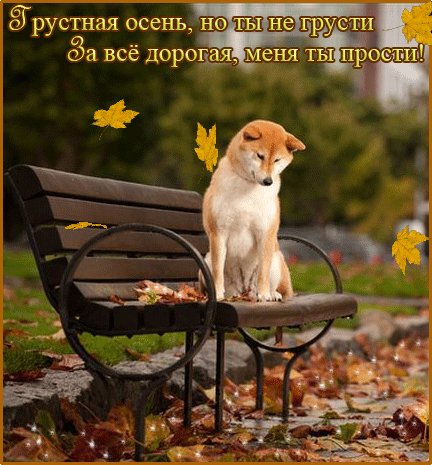 здравствуй сентябрь фото онлайн здравствуй сентябрь фото