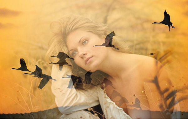 65981953_63885740_41334371_29751 (600x380, 173Kb)