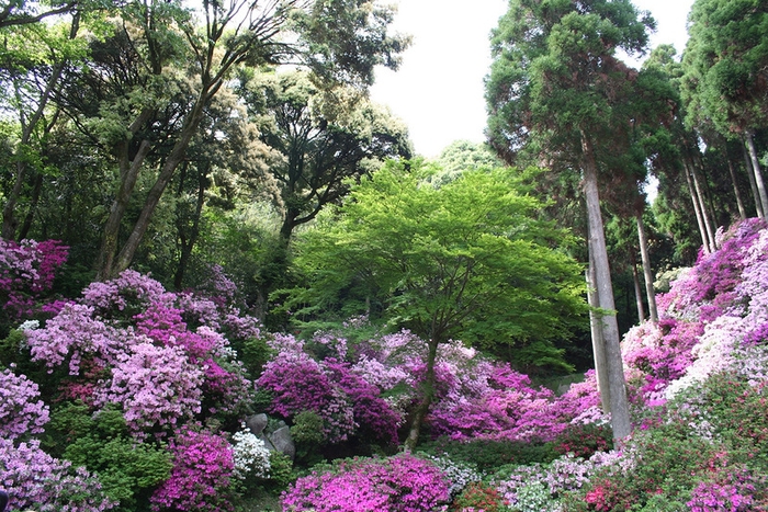 0_8b908_9c07cce3_XL (700x467, 367Kb)