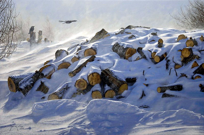 winter_woodpile__acrylic__16x24__2009 (700x463, 379Kb)