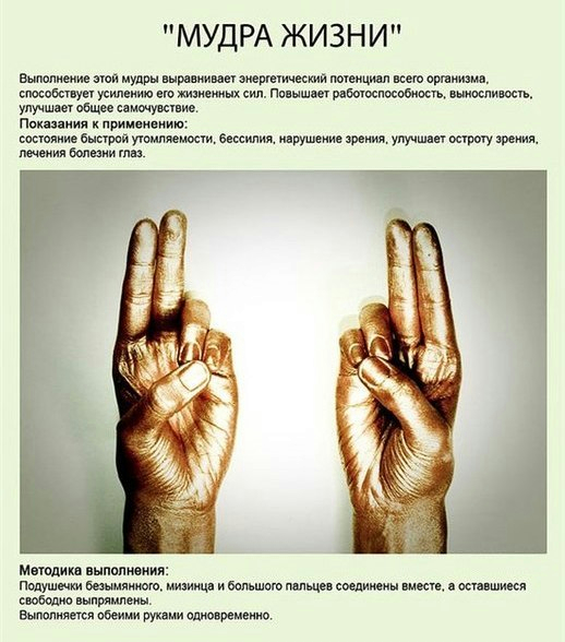 99465179_1365274446_aYiPULq9SxU (518x588, 237Kb)