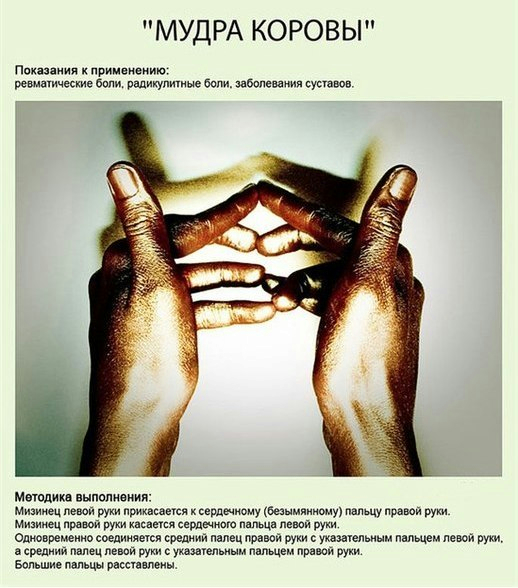 99465183_1365274515_FbLYcpbram4 (518x588, 262Kb)