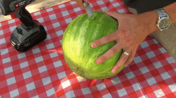 Watermelon_01 (600x335, 206Kb)