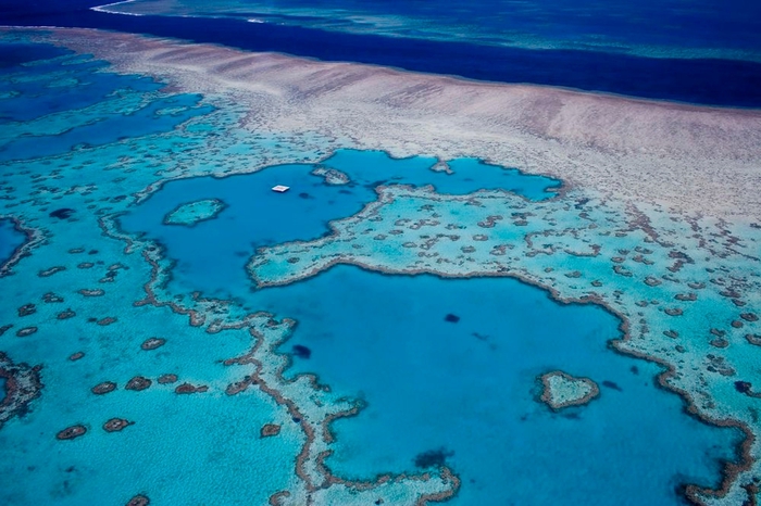 great_barrier_reef_2 (700x466, 260Kb)